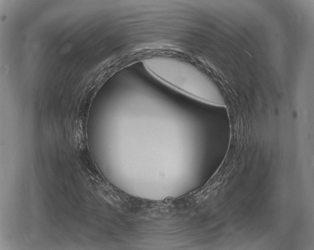 X0000080681062200612150732