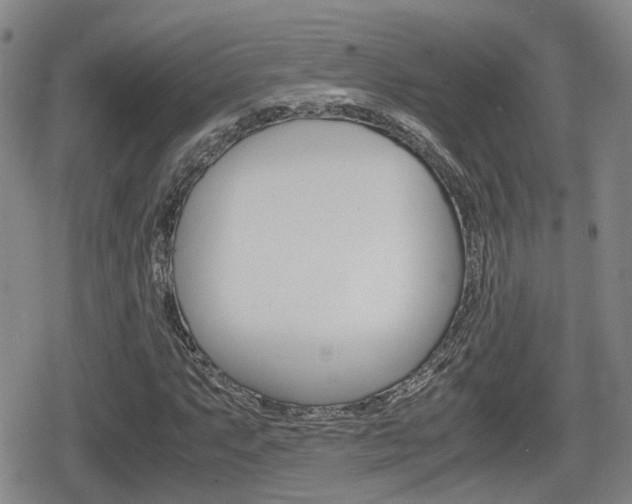 X0000080681063200612150732