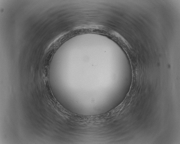 X0000080681064200612150732