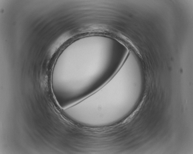 X0000080681066200612150732