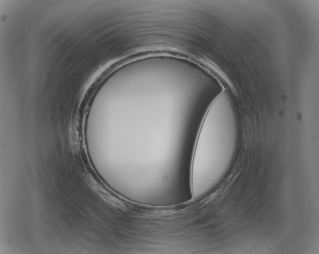 X0000080681068200612150732