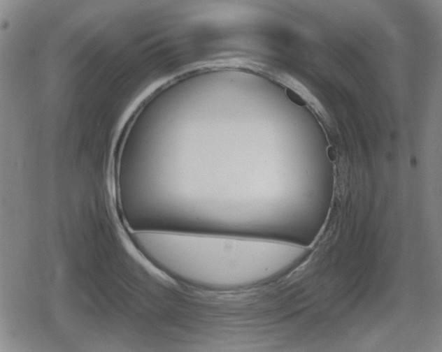 X0000080681084200612150732