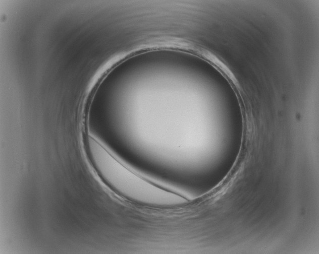 X0000080681093200612150732