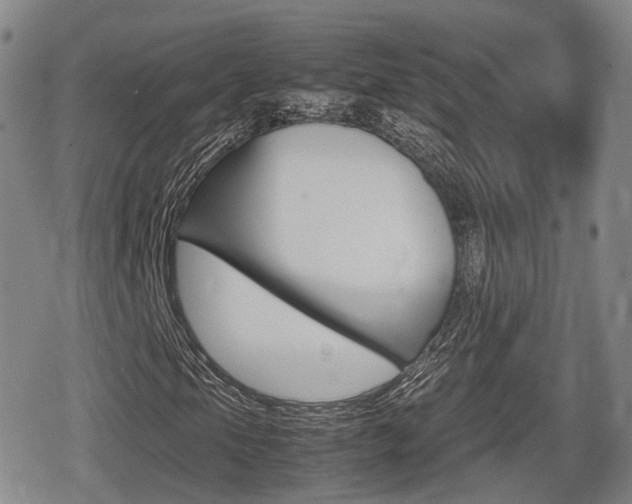 X0000080681105200612150731