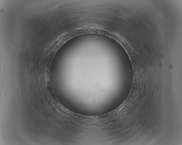 X0000080681110200612150731