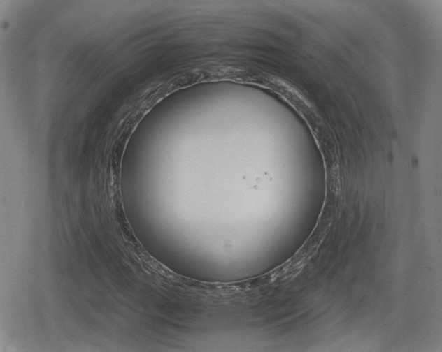 X0000080681111200612150731