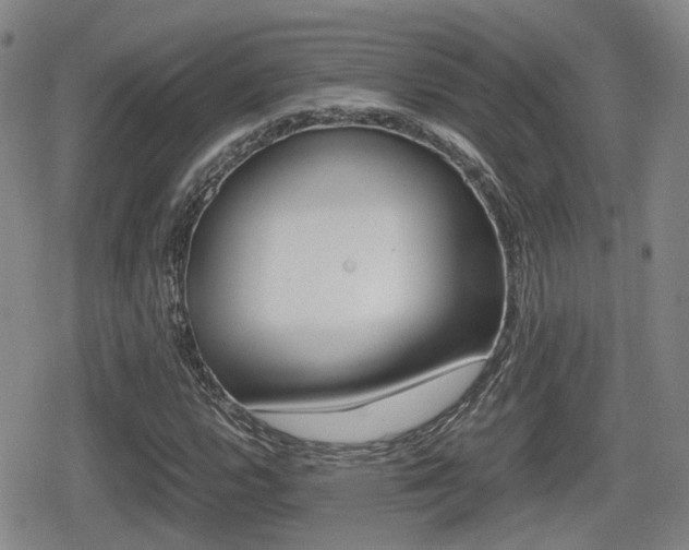 X0000080681112200612150731