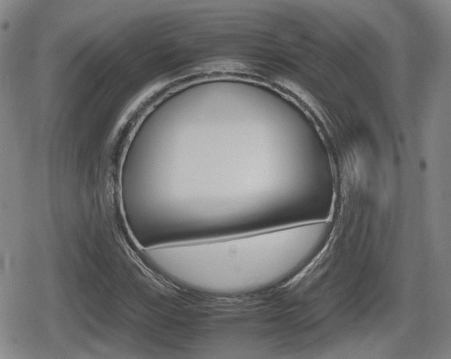 X0000080681115200612150731