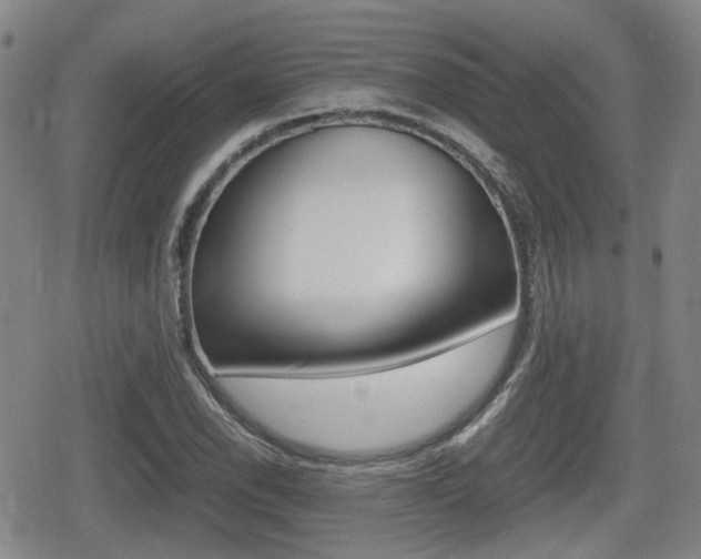 X0000080681118200612150731