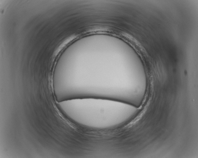 X0000080681121200612150731