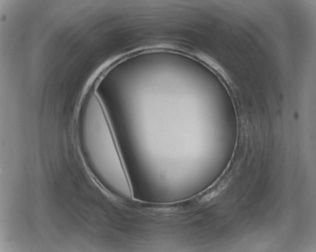 X0000080681127200612150731