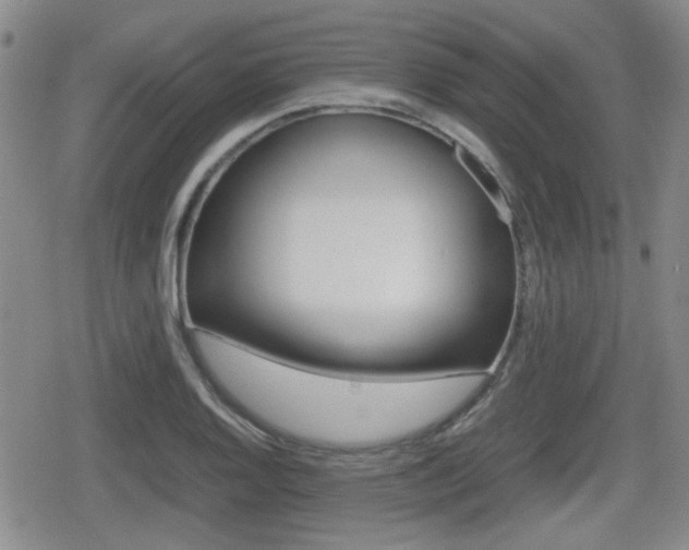 X0000080681128200612150731