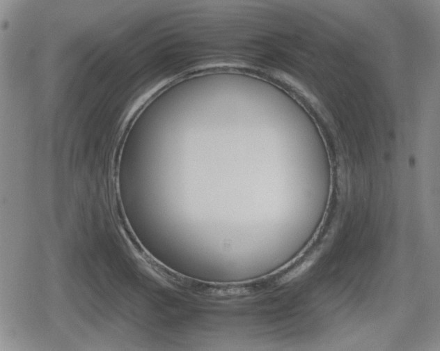 X0000080681129200612150731