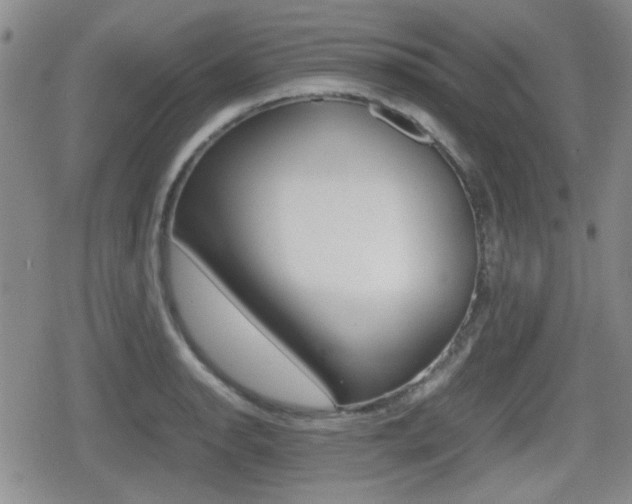 X0000080681134200612150731