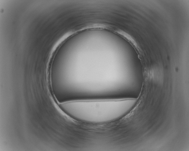 X0000080681135200612150731