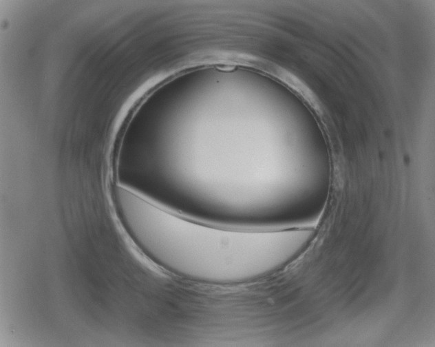 X0000080681136200612150731