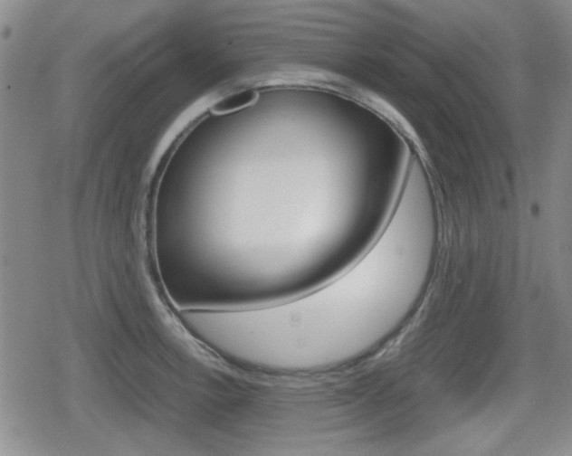 X0000080681138200612150731