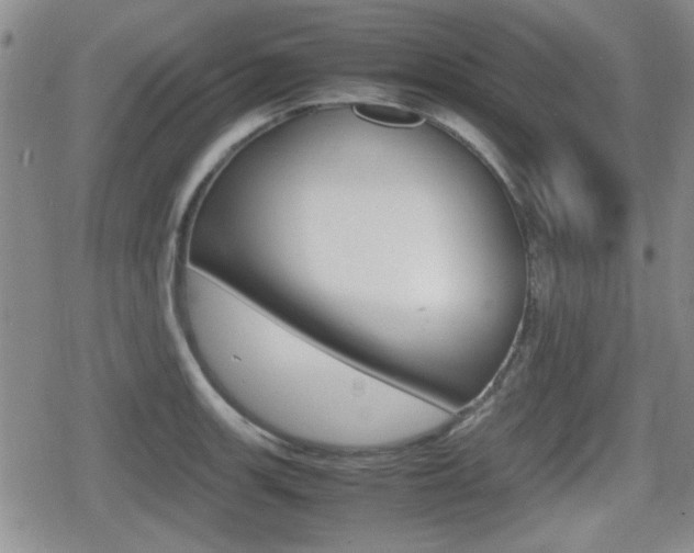 X0000080681139200612150731