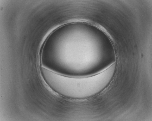 X0000080681140200612150732