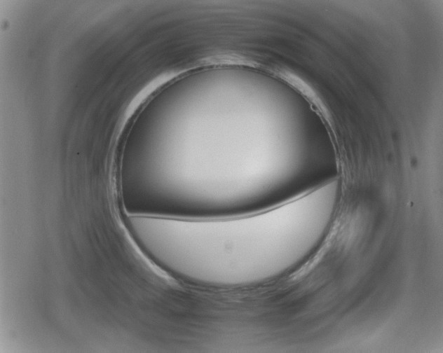 X0000080681141200612150732