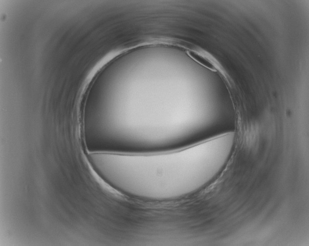 X0000080681143200612150732