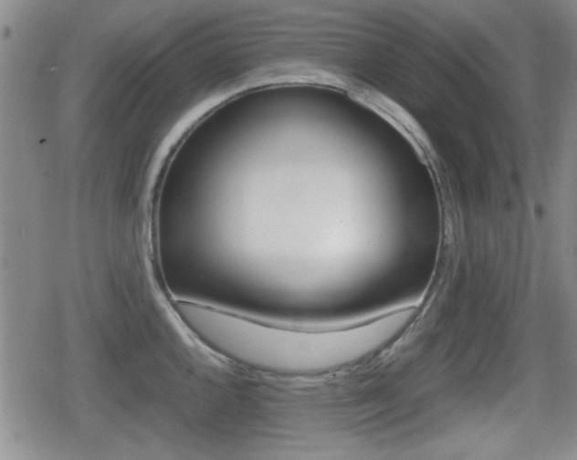 X0000080681144200612150732