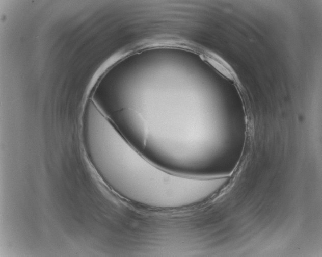 X0000080681146200612150732