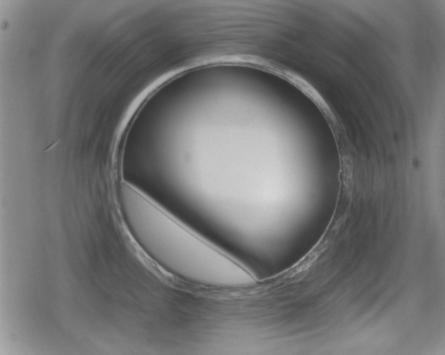 X0000080681148200612150732
