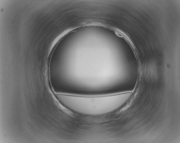 X0000080681149200612150732