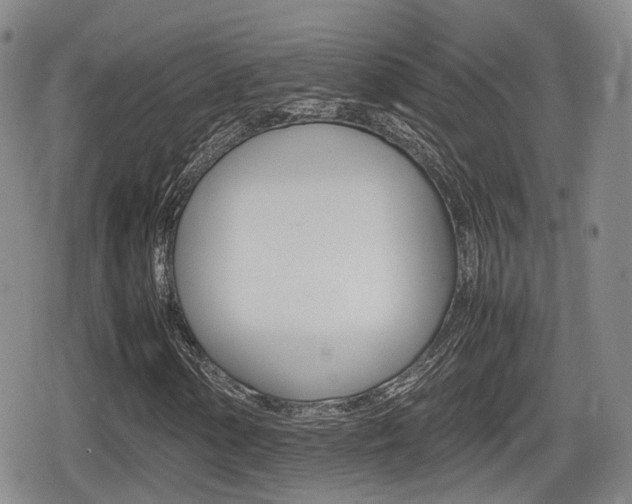 X0000080681154200612150731
