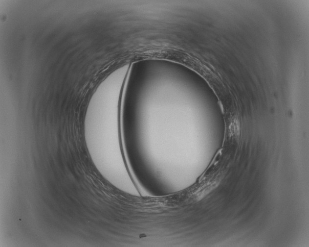X0000080681156200612150731