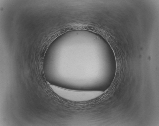 X0000080681157200612150731