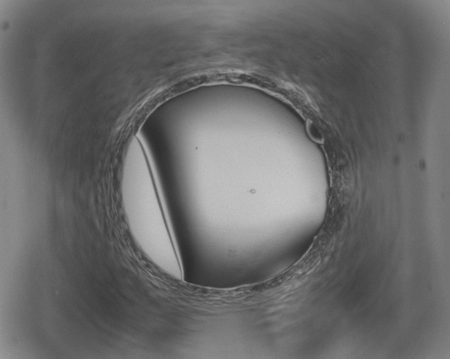 X0000080681159200612150731