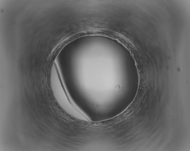 X0000080681160200612150731