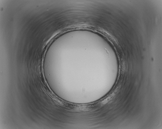 X0000080681162200612150731