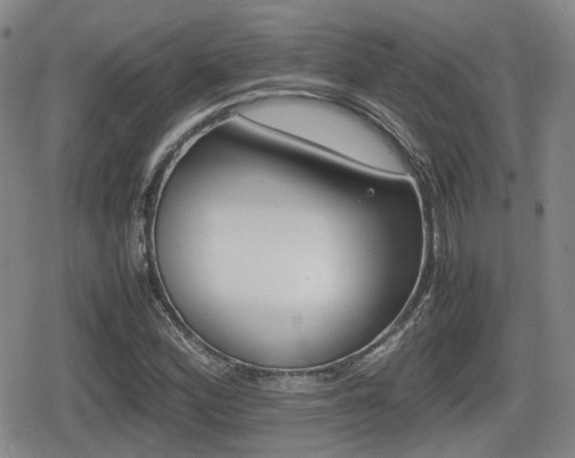 X0000080681164200612150731