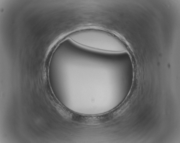 X0000080681167200612150731