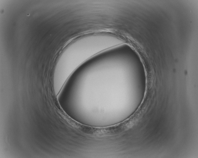X0000080681169200612150731