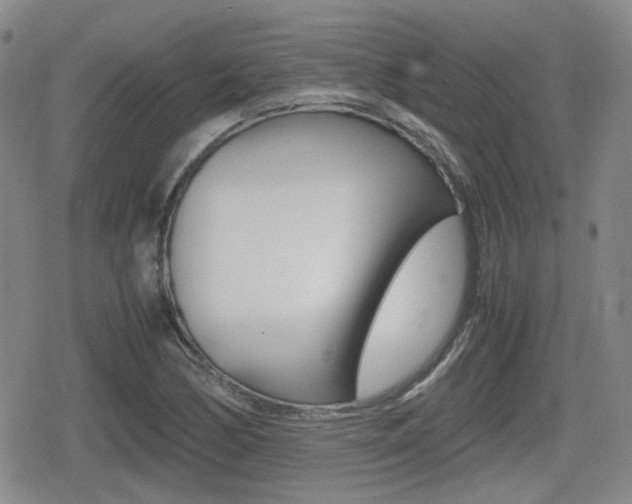 X0000080681170200612150731