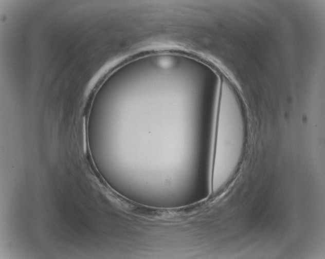 X0000080681175200612150731