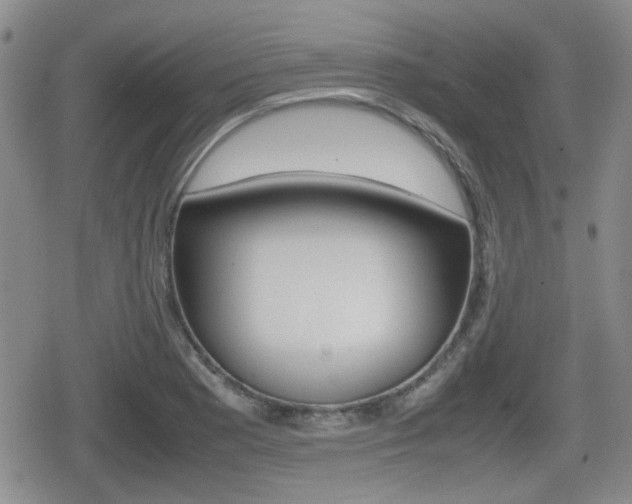 X0000080681177200612150731