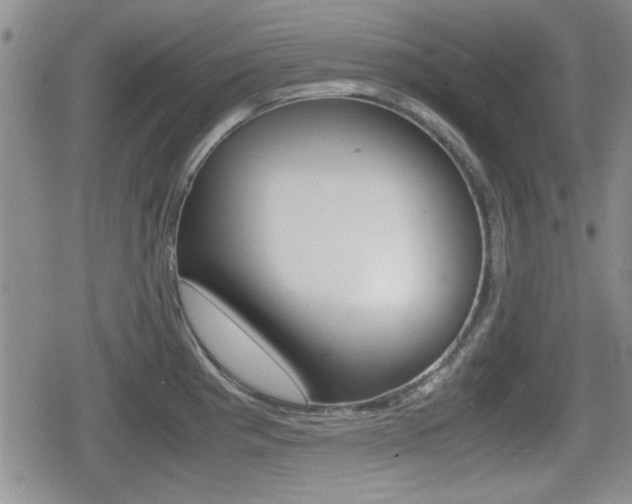 X0000080681193200612150730