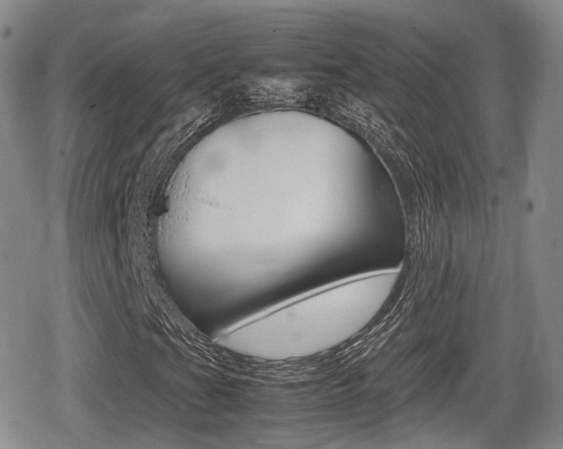 X0000080681201200612150729