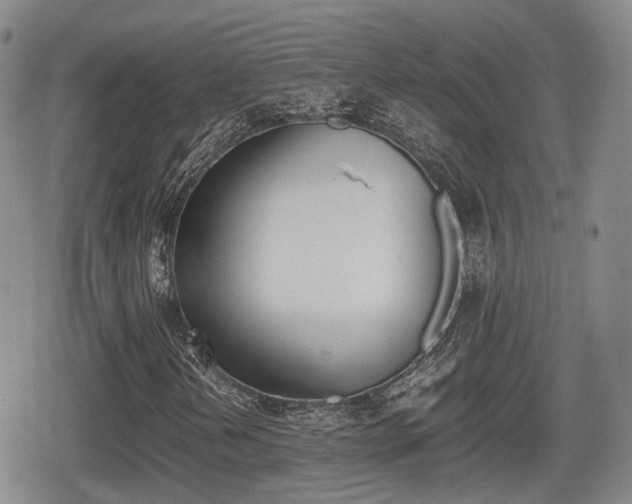 X0000080681202200612150729