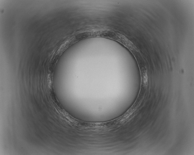 X0000080681204200612150729
