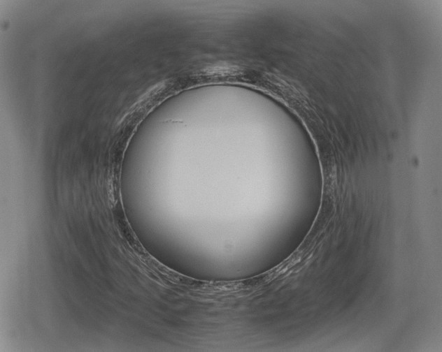 X0000080681205200612150729