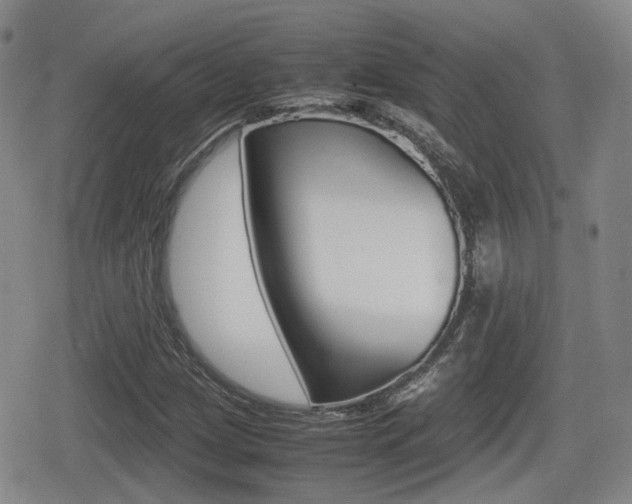 X0000080681209200612150729