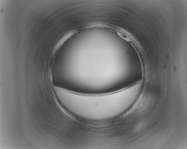 X0000080681241200612150730