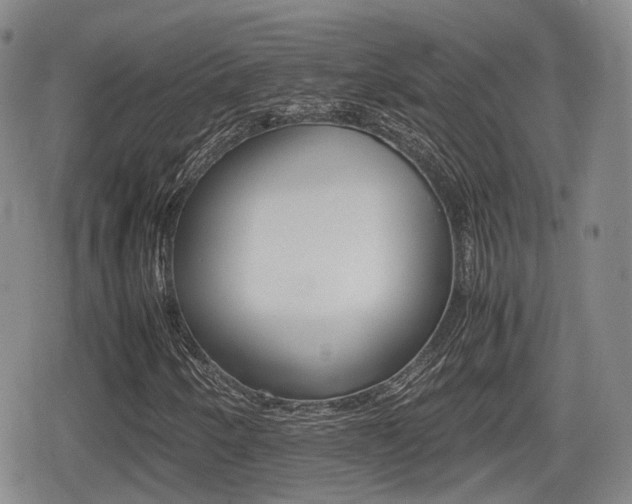 X0000080681250200612150729