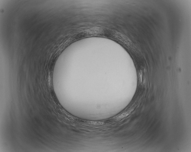 X0000080681251200612150729